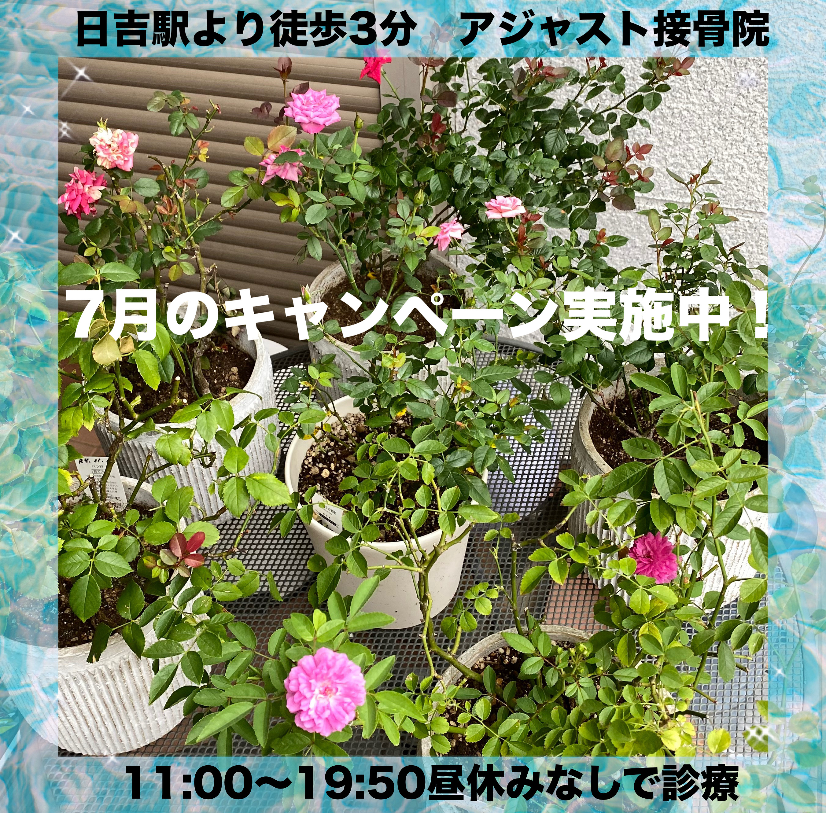 キャンペーン
