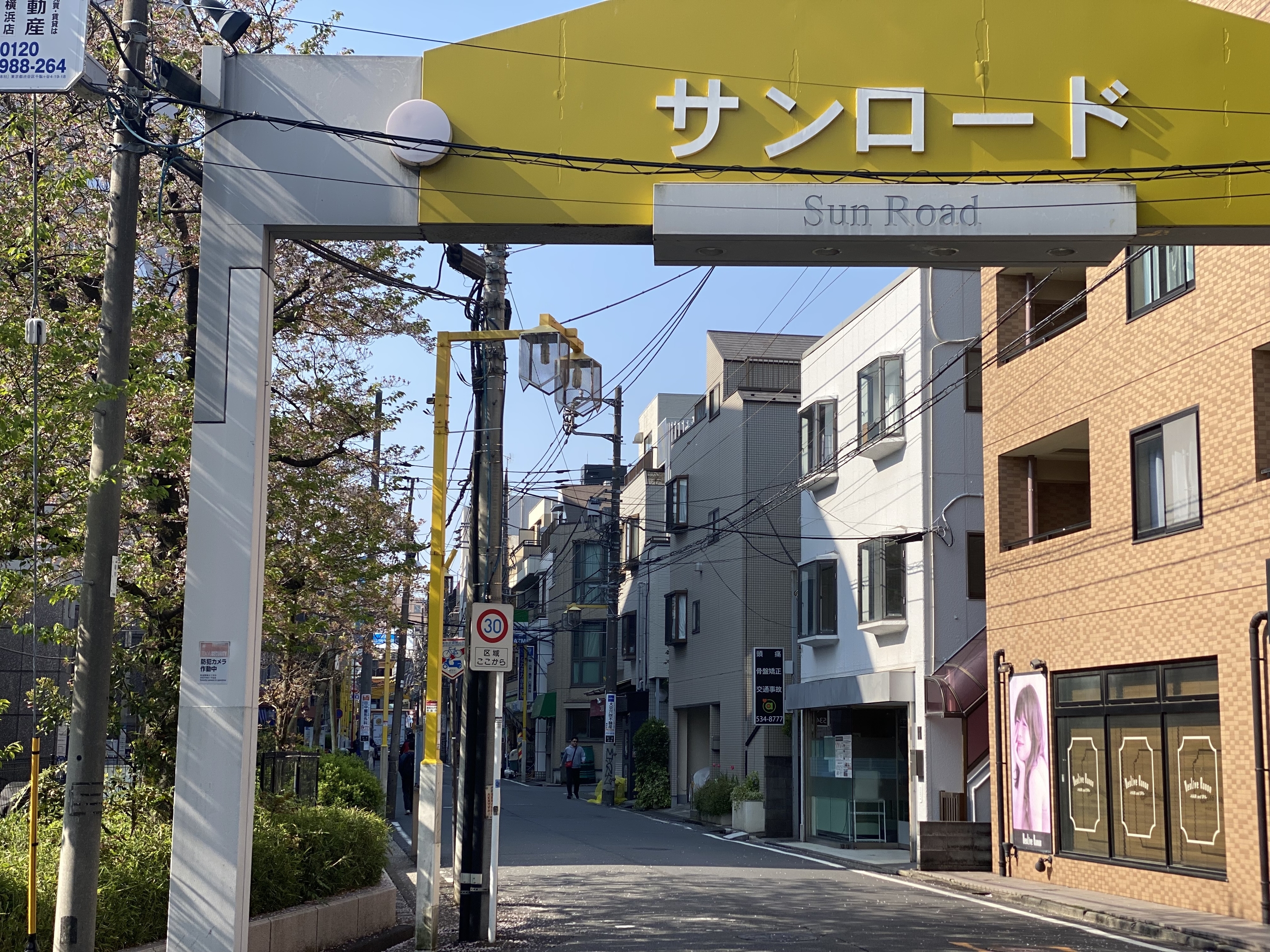 さくら